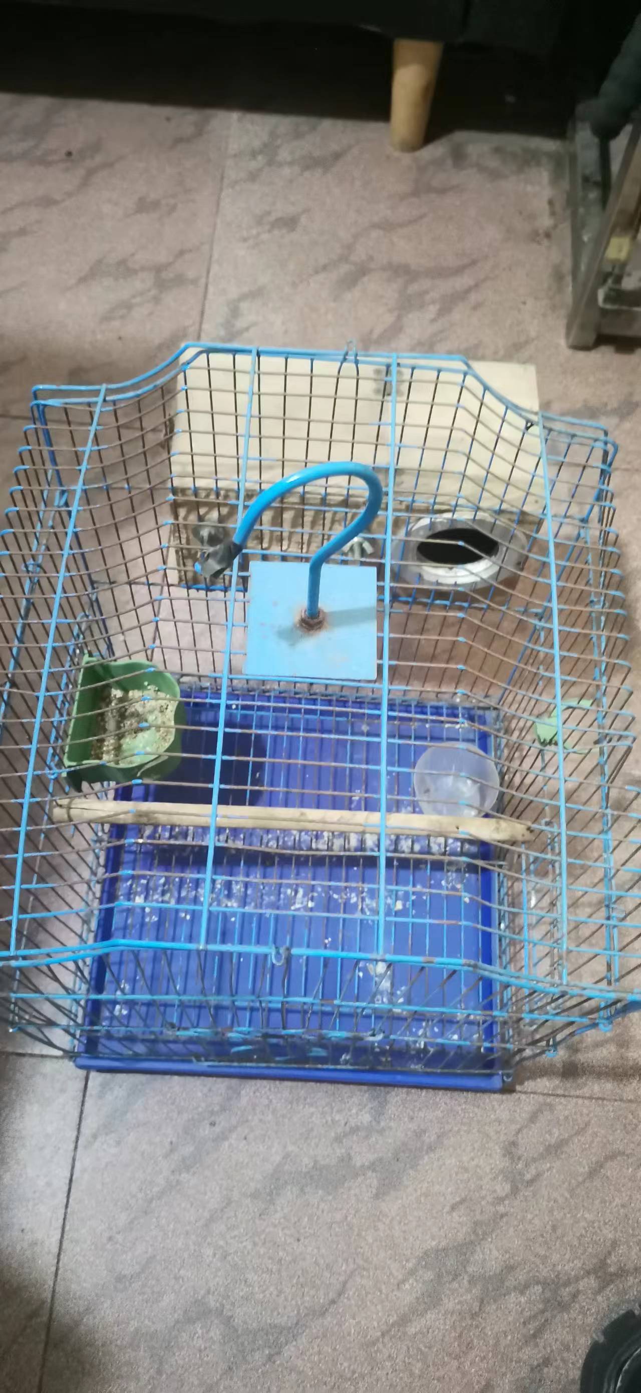 二手鸟笼出售，带孵化鸟巢，喂食器
