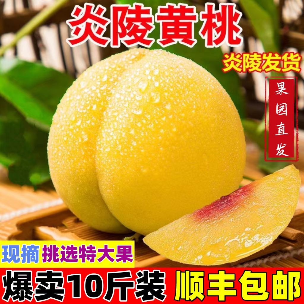 正宗炎陵黄桃湖南特产5斤新鲜水果高山黄桃10斤特大果现摘现发 顺丰包邮