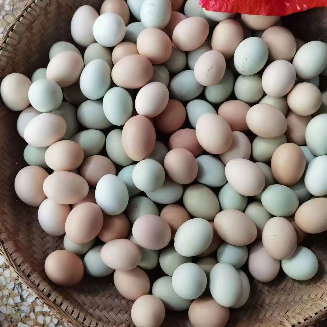 微信图片_20221026215437.jpg